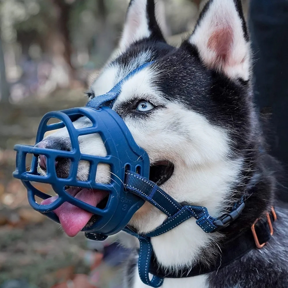 Training Ventilated Basket Muzzle